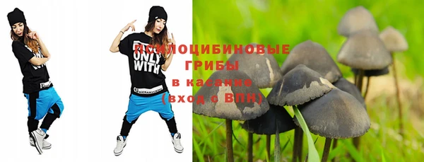 ешки Беломорск