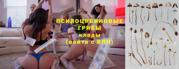 ешки Беломорск